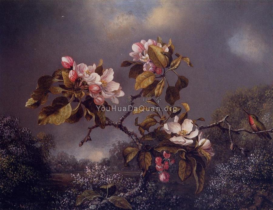 Apple Blossoms and Hummingbird - 马丁·约翰逊·赫德